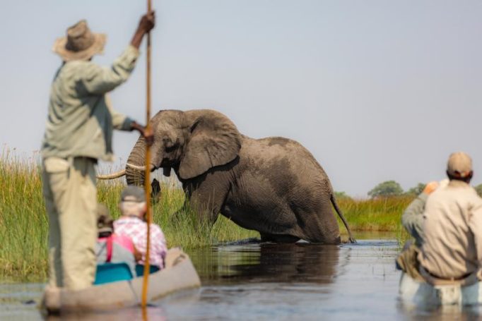 Das Okavango Delta & Botswana